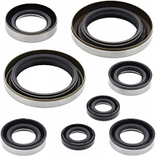 WRP 822274 Oil Seal Kit