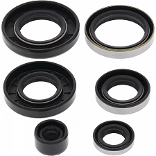 WRP 822281 Oil Seal Kit