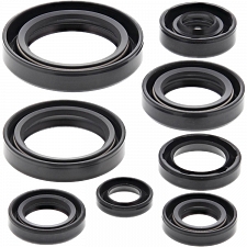 WRP 822283 Oil Seal Kit
