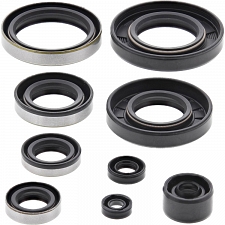 WRP 822285 Oil Seal Kit