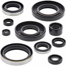 WRP 822287 Oil Seal Kit