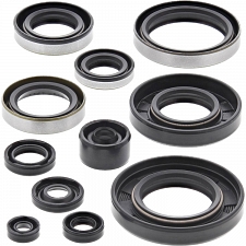 WRP 822288 Oil Seal Kit