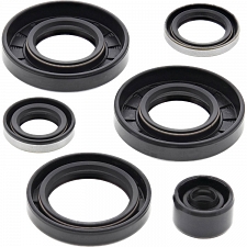 WRP 822290 Oil Seal Kit