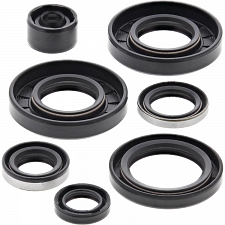 WRP 822291 Oil Seal Kit
