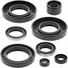 WRP 822293 Oil Seal Kit