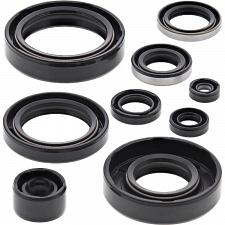 WRP 822294 Oil Seal Kit