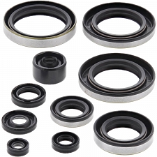 WRP 822295 Oil Seal Kit