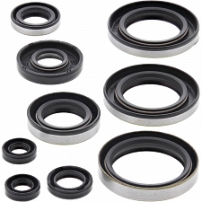 WRP 822296 Oil Seal Kit