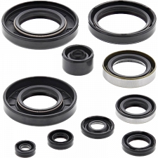 WRP 822297 Oil Seal Kit