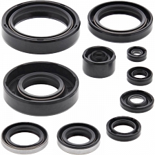 WRP 822298 Oil Seal Kit