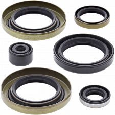 WRP 822300 Oil Seal Kit
