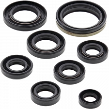 WRP 822303 Oil Seal Kit