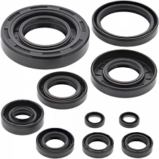 WRP 822304 Oil Seal Kit