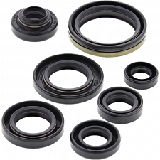 WRP 822305 Oil Seal Kit