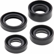 WRP 822306 Oil Seal Kit