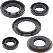 WRP 822308 Oil Seal Kit