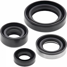 WRP 822309 Oil Seal Kit
