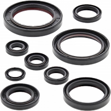 WRP 822315 Oil Seal Kit