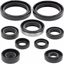 WRP 822316 Oil Seal Kit