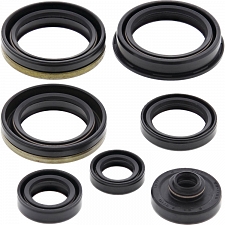 WRP 822317 Oil Seal Kit