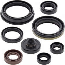 WRP 822318 Oil Seal Kit