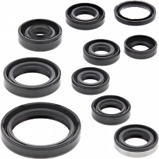WRP 822319 Oil Seal Kit