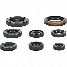 WRP 822321 Oil Seal Kit