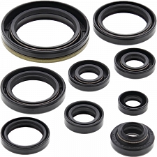 WRP 822324 Oil Seal Kit