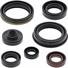 WRP 822329 Oil Seal Kit