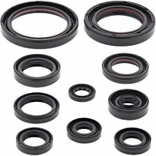 WRP 822332 Oil Seal Kit