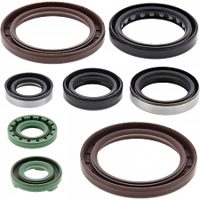 WRP 822333 Oil Seal Kit