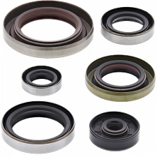 WRP 822348 Oil Seal Kit