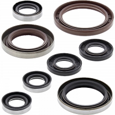 WRP 822356 Oil Seal Kit