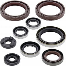 WRP 822359 Oil Seal Kit