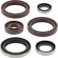 WRP 822360 Oil Seal Kit