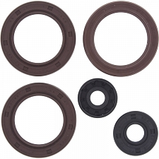 WRP 822362 Oil Seal Kit