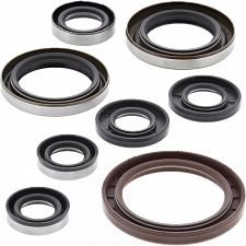 WRP 822364 Oil Seal Kit