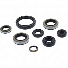 WRP 822365 Oil Seal Kit