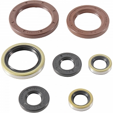 WRP 822372 Oil Seal Kit