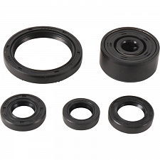 WRP 822377 Oil Seal Kit