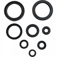 WRP 822378 Oil Seal Kit