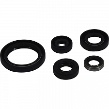 WRP 822380 Oil Seal Kit