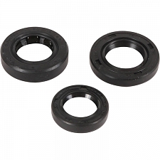 WRP 822389 Oil Seal Kit