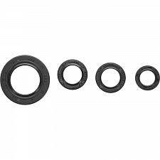 WRP 822395 Oil Seal Kit