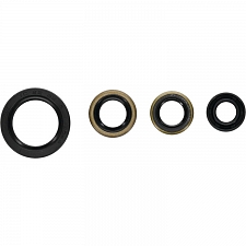 WRP 822399 Oil Seal Kit