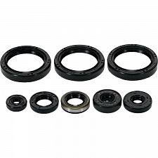 WRP 822403 Oil Seal Kit