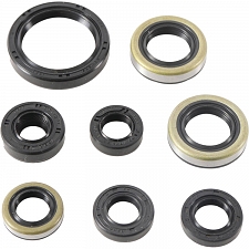 WRP 822485 Oil Seal Kit