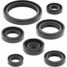 WRP 822692 Oil Seal Kit