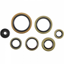 WRP 822976 Oil Seal Kit