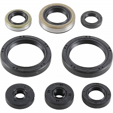 WRP 822977 Oil Seal Kit